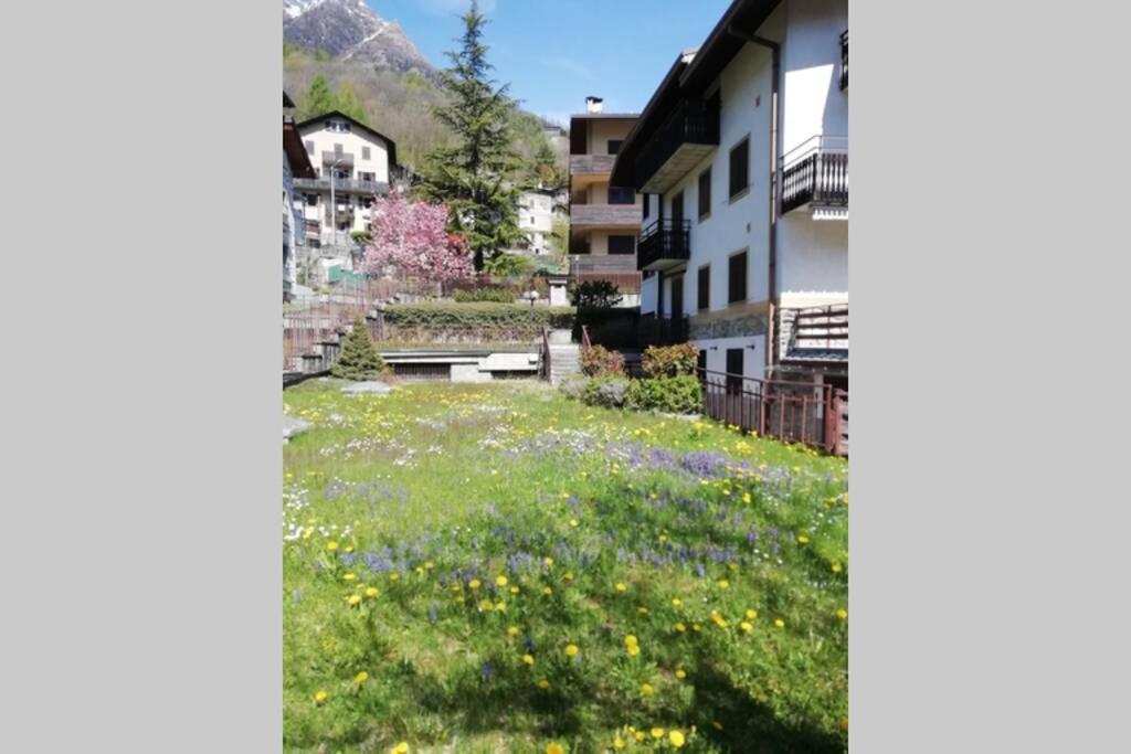 Ferrari'S: Bright Apartment With Magnificent View Chiesa in Valmalenco Kültér fotó